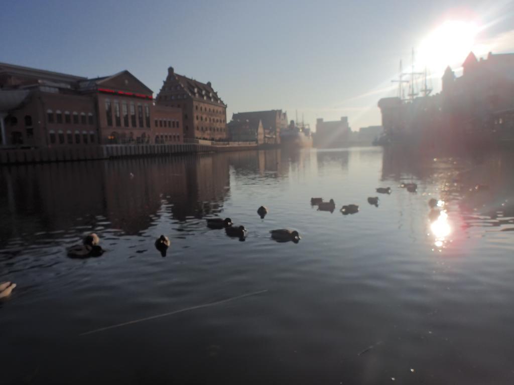 Apartament Nadmorski Gdansk Σόποτ Δωμάτιο φωτογραφία